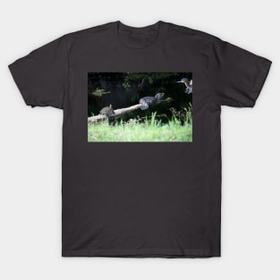 Heron Turtle And Gator T-Shirt